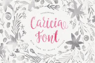 Caricia Font: Adding Feminine Warmth to Campaign Visuals