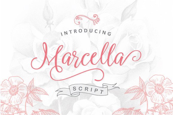 Marcella Font: Elevating Digital Campaigns
