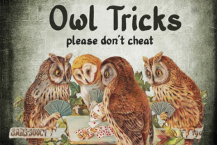 Old Story Bold Font: Elevating Small Business Branding