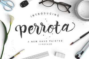 Perrota Typeface: Hand-Painted Style for Editorial Design