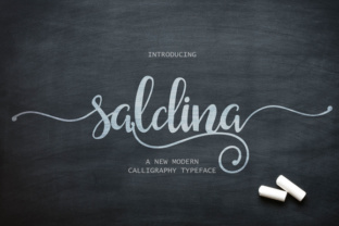 Saldina Font Review: A Script Typeface for Campaigns